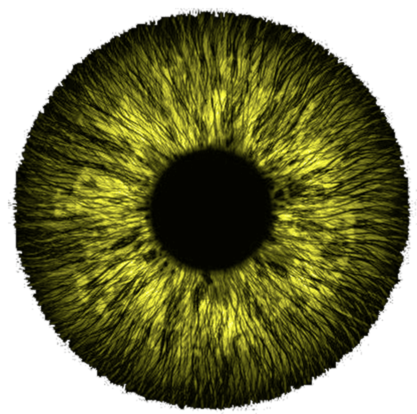 pupille de couleur jaune soleil 