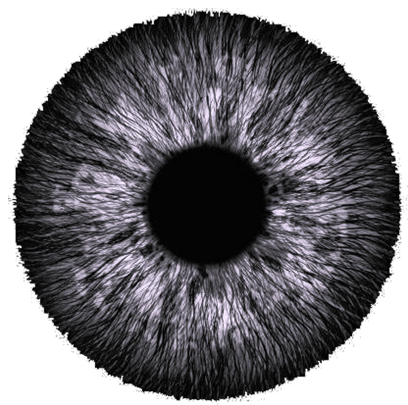 pupille de couleur grise