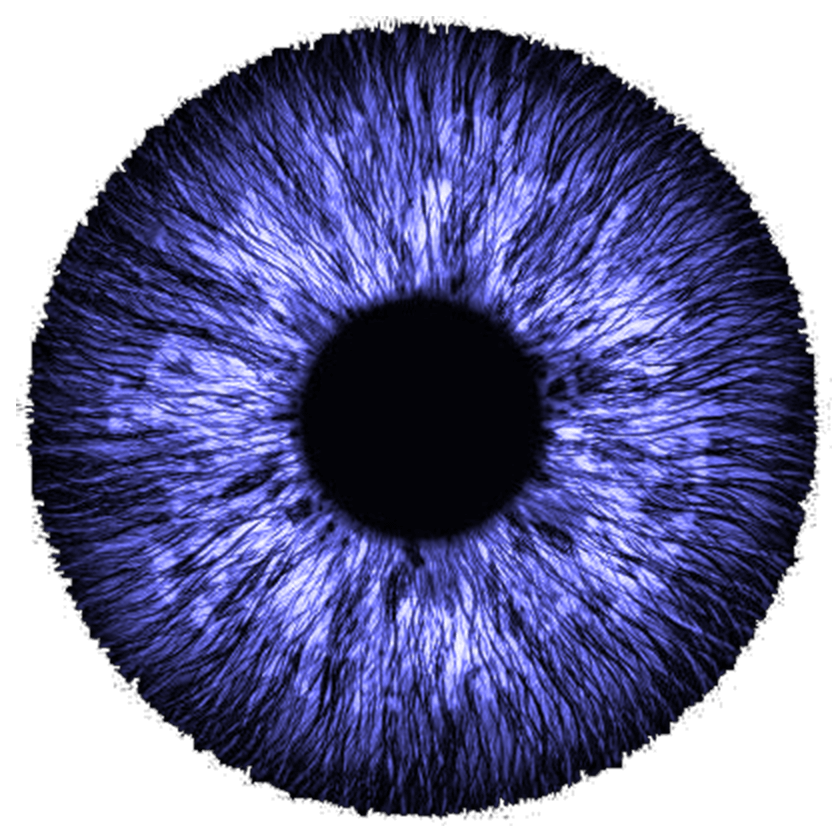 pupille de couleur bleu foncée