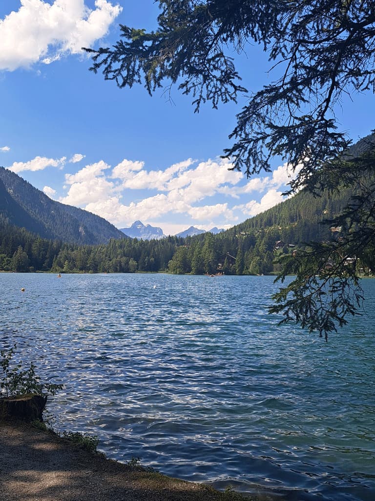 paysage de montagne en Suisse